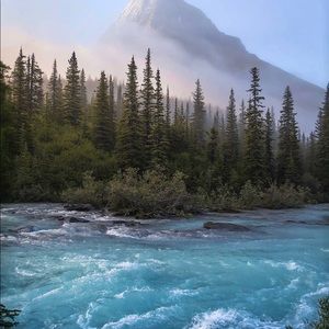 Meet your Posher, Alaa